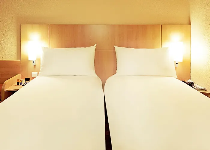 Ibis Centro