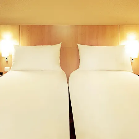 Ibis Centro