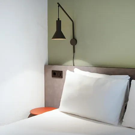 Ibis Centro